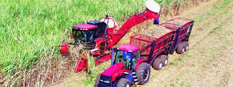 Safra recorde de cana-de-açúcar vai ultrapassar 72 milhões de toneladas em Minas 