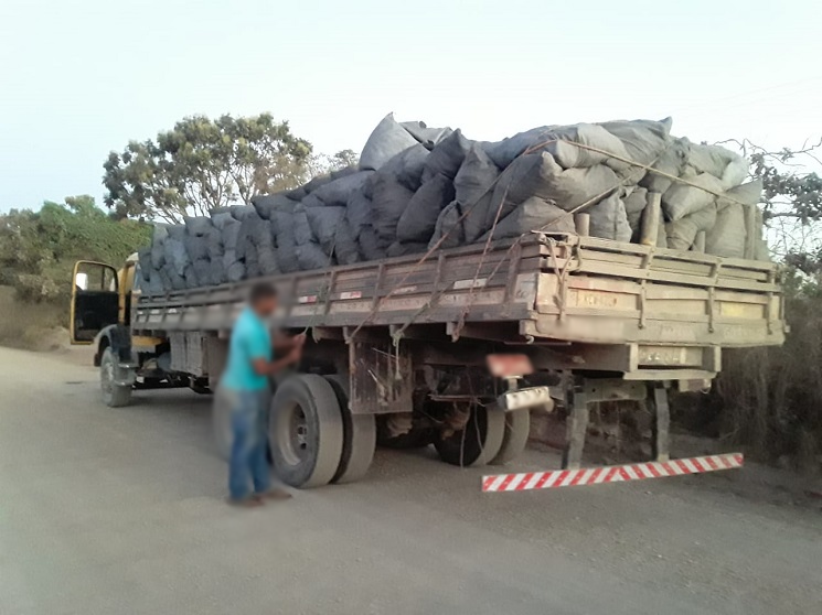 PMDF apreende 6 toneladas de carvão transportados ilegalmente no DF