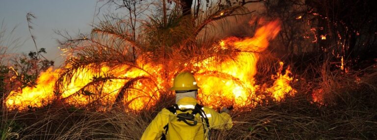 Plano para combate a incêndios florestais tem reforço de R$ 14 mi em Minas 