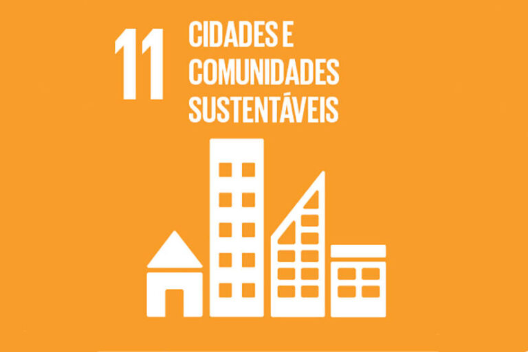 Curso sobre Agenda 2030 e os ODS pode ajudar propostas de candidatos