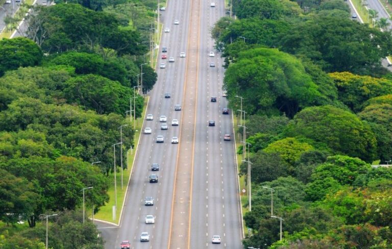 Verde que te quero verde: Brasília, a cidade das árvores