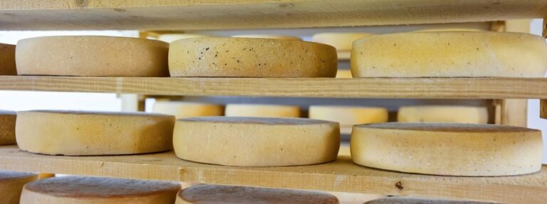 Produção de queijo artesanal ganha mais um incentivo
