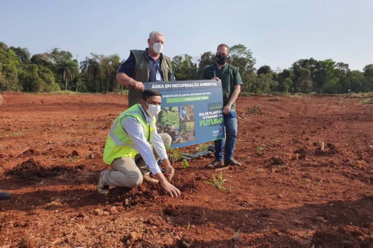 Aeroporto de Foz recebe árvores nativas para compensação ambiental