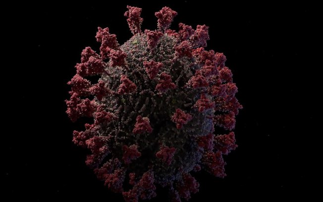 Sars-CoV-2 usa estratégia similar à do HIV para infectar células de defesa
