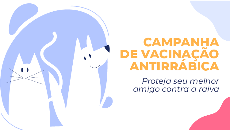 Campanha de vacinação antirrábica começa neste sábado