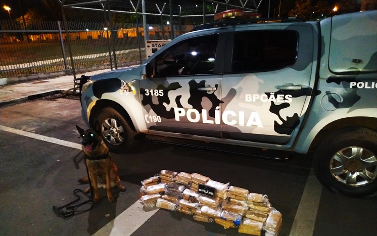 Cão policial apreende mais de 80 tabletes de maconha em ônibus que ia para o Piauí