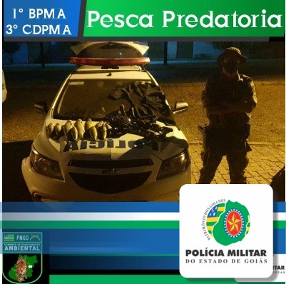 PMGO no combate aos crimes ambientais