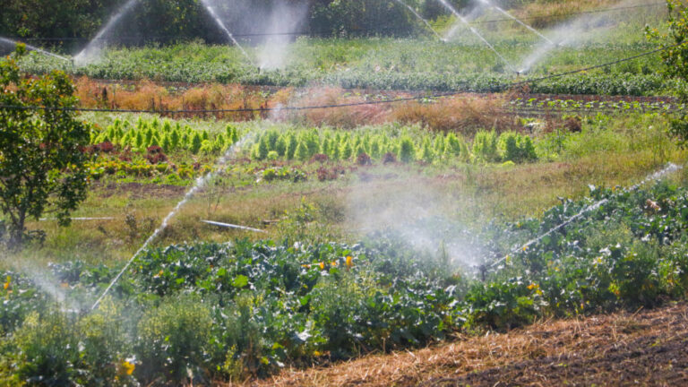 Mais água para produção rural de Vargem Bonita