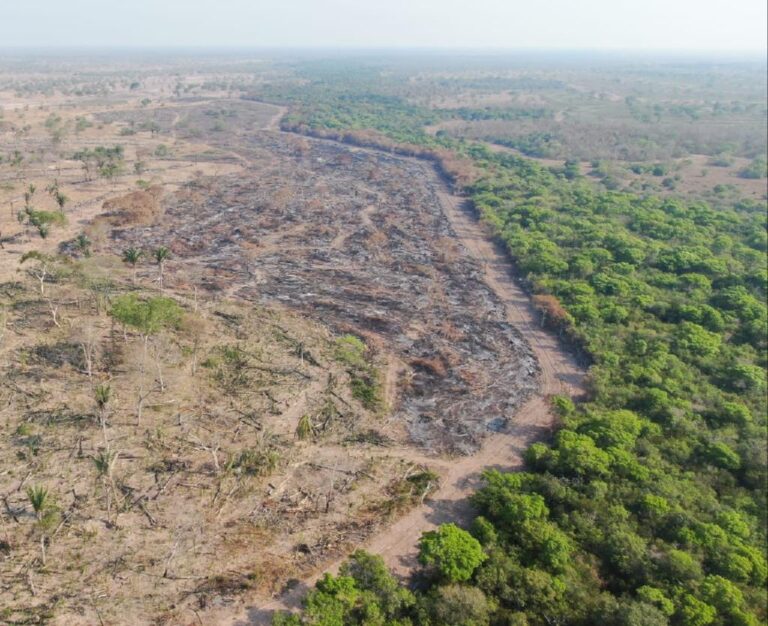 Operação Resiliência Pantanal apreende 5 tratores usados em desmatamento e evita queimadas