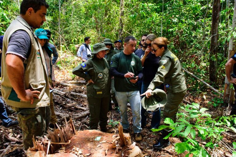 Estados da Amazônia Legal divulgam diagnóstico de licenciamento ambiental