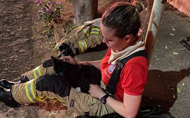 Incêndio em casa em Minas Gerais deixa um morto; gato da vítima sobrevive