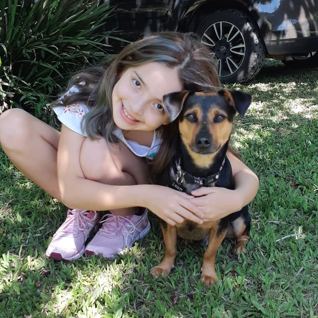 Dia de adotar um animal: cão devolve alegria a criança de 10 anos