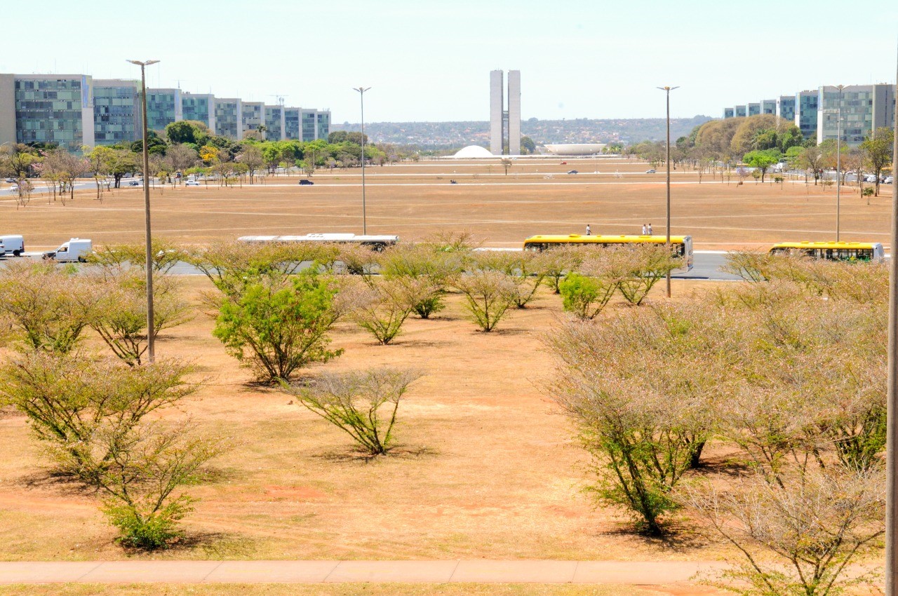 Foto: Paulo H. Carvalho/Agência Brasília