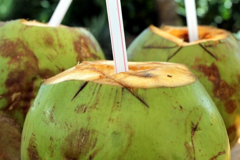 Cinco benefícios da água de coco para a saúde durante o período de calor intenso
