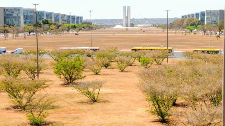 Calor e baixa umidade deixam DF em ‘alerta vermelho’