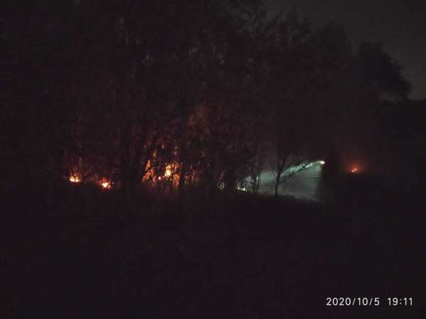 Corpo de Bombeiros e Ciopaer atuam em combate a incêndio no Parque do Cocó