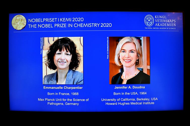 Duas cientistas vencem Nobel de Química por pesquisa com genoma