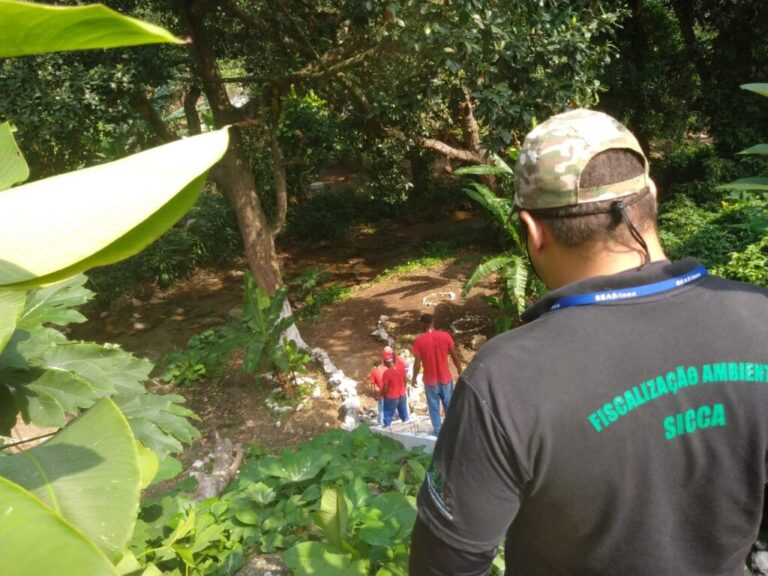 Secretaria do Ambiente e Inea combatem irregularidade ambiental no Jardim Botânico