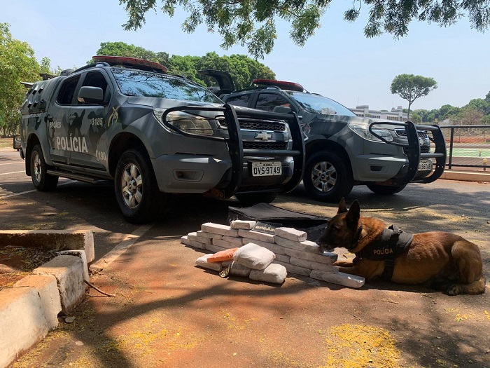 PMDF prende homem por tráfico de drogas na Rodoviária Interestadual