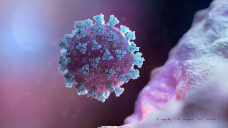 Cientistas do Chile estudam mutação do coronavírus na Patagônia