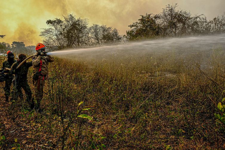 Governo manda 71 soldados para reforçar combate a fogo no Pantanal