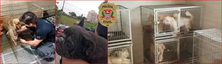 Polícia Civil de Boituva resgata mais de 90 animais em situação de maus-tratos