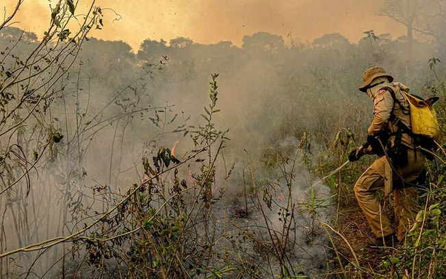Combate ao fogo na Amazônia e Pantanal teve atraso de quatro meses