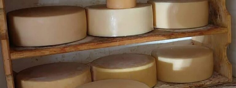 Novas regiões trabalham nos regulamentos do queijo artesanal