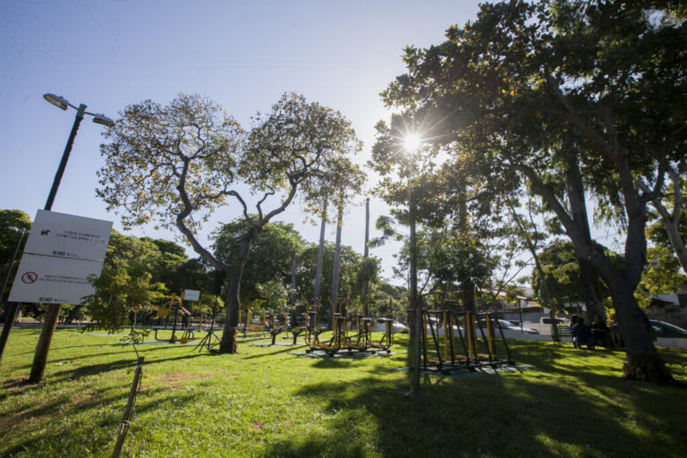 Um dia no Parque 2020: Adahil Barreto ganha academia ao ar livre