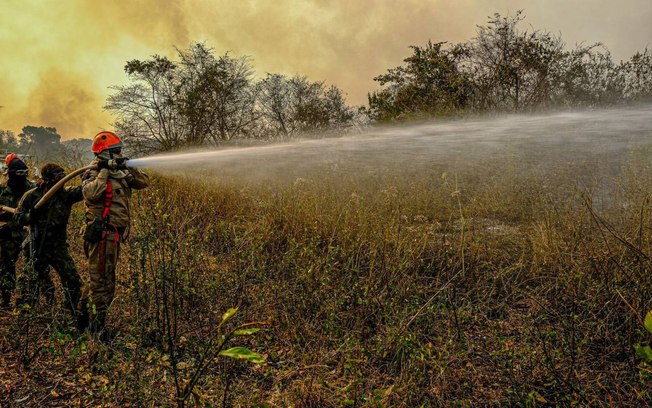 Pantanal: chuvas na região ajudam a diminuir focos de incêndio