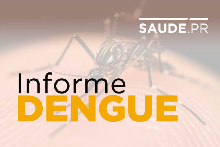 Secretaria da Saúde confirma  848 casos de dengue no Paraná