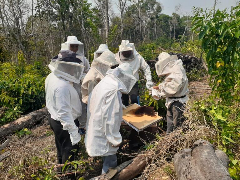 Empaer realiza curso de apicultura com foco na comercialização de mel silvestre