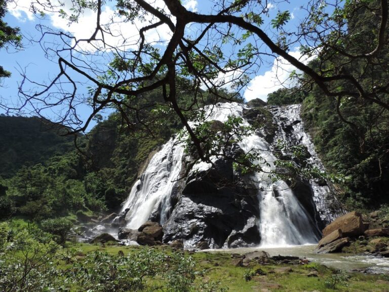 Confira os parques estaduais que estarão abertos neste fim de semana