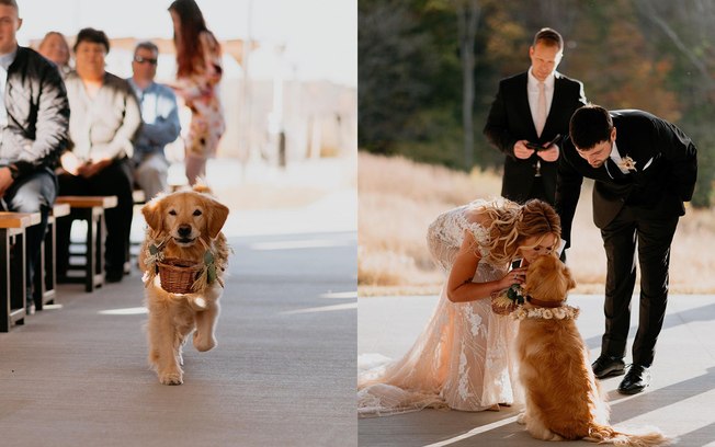 Cãozinho encanta ao carregar as alianças no casamento dos donos