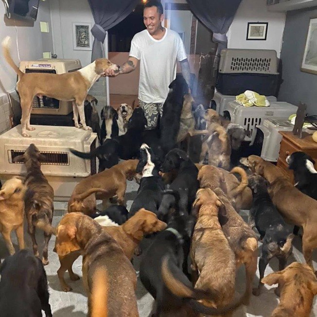 Homem acolhe 300 cães em sua casa para protegê-los de furacão