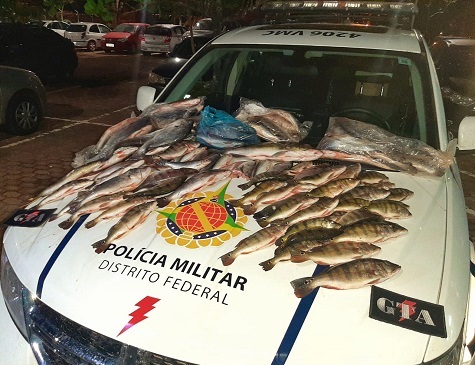 PMDF detém quatros homes por Crime ambiental em Brazlândia