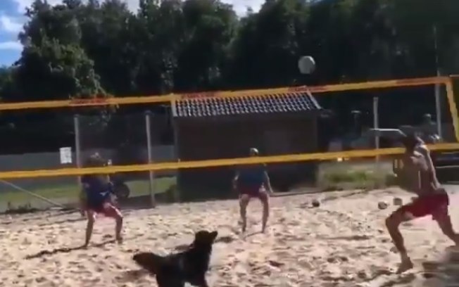 Fofura: Dan Stulbach posta vídeo jogando vôlei com seu cachorro