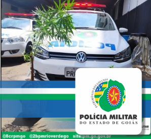 PMGO Prende Dupla Cultivando Maconha Dentro de Casa