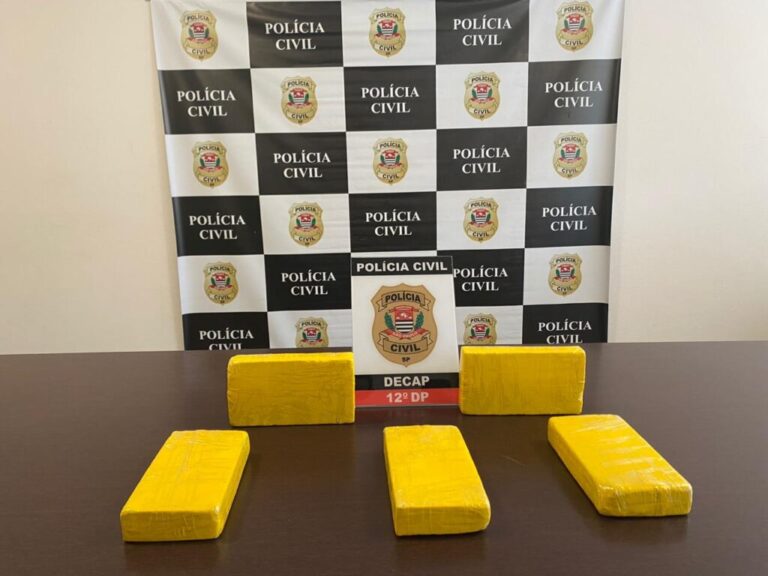 Policiais civis do Decap apreendem 44 tijolos de cocaína e maconha