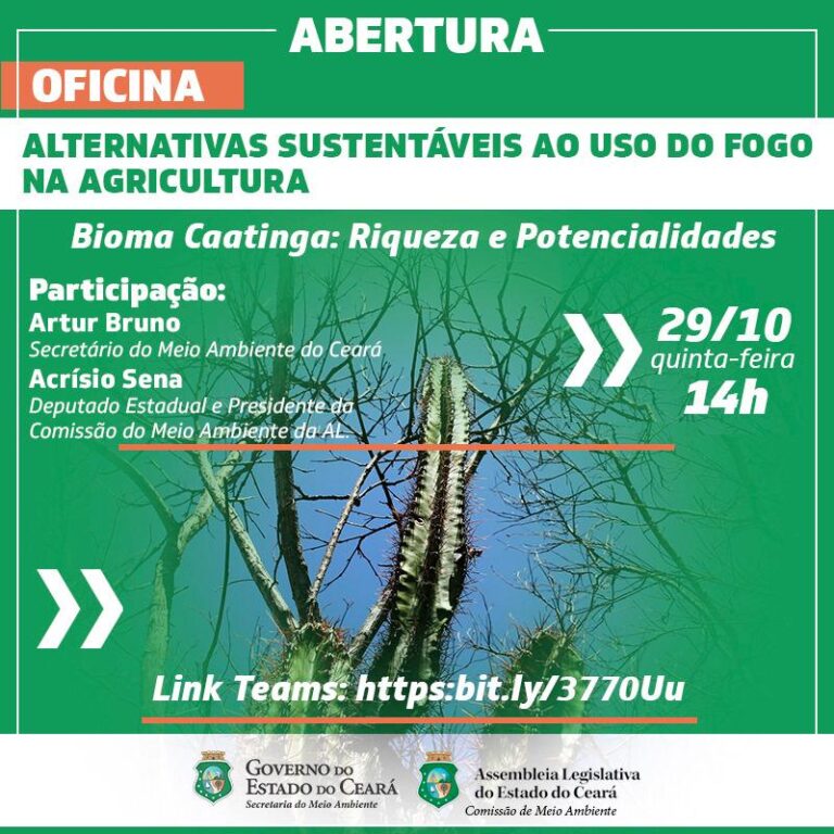 Oficina virtual discute alternativas do uso do fogo na agricultura