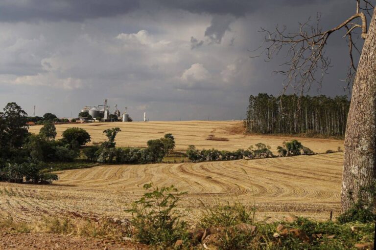 Startups apresentam projetos inovadores para o agronegócio 