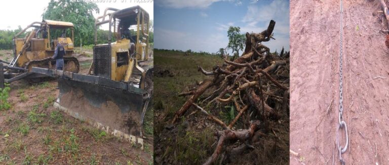 Batalhão Ambiental identifica desmatamento em propriedade particular em Ribeirão Cascalheira