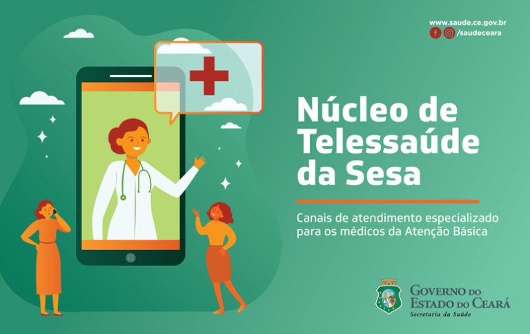 Médicos especialistas do Núcleo de Telessaúde da Sesa darão suporte à Atenção Básica