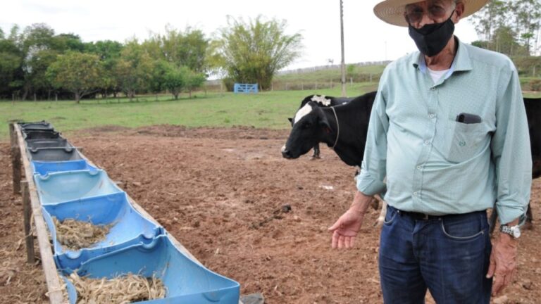 Escritura para produtores do DF