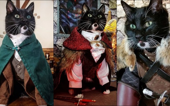De Game of Thrones a Senhor dos Anéis: conheça os gatos que fazem cosplay