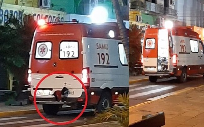 Após dono passar mal, cão o acompanha até o hospital na traseira de ambulância