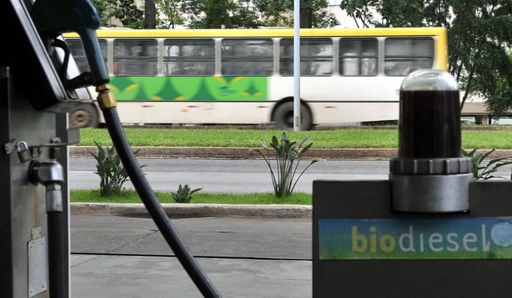 Selo Biocombustível Social incentiva produção de biodiesel por cooperativas; setor se expande em MS