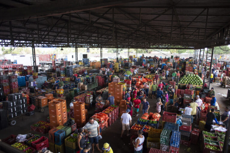Mercado agrícola inicia a semana com boas ofertas para frutas e hortaliças