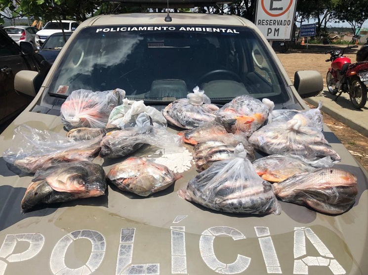 PMDF prende condutor de veículo por pesca predatória, crime contra os recursos pesqueiro