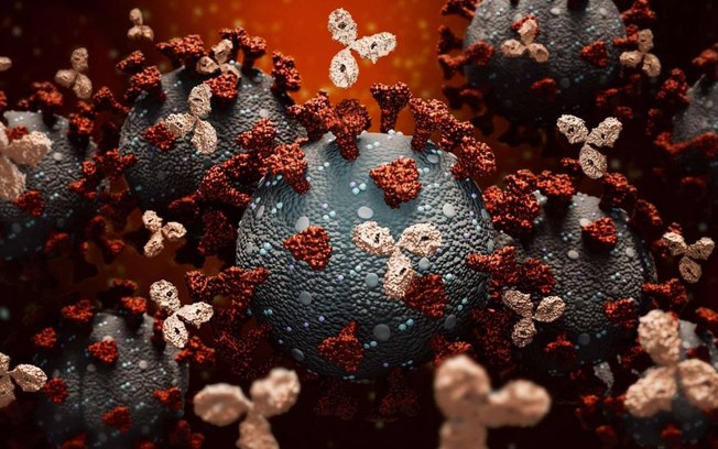 Estudo reforça imunidade duradoura com células T após infecção por Covid-19